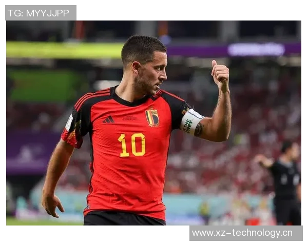 纳因戈兰谈与加西亚教练的良好关系及比利时晋级世界杯的信心